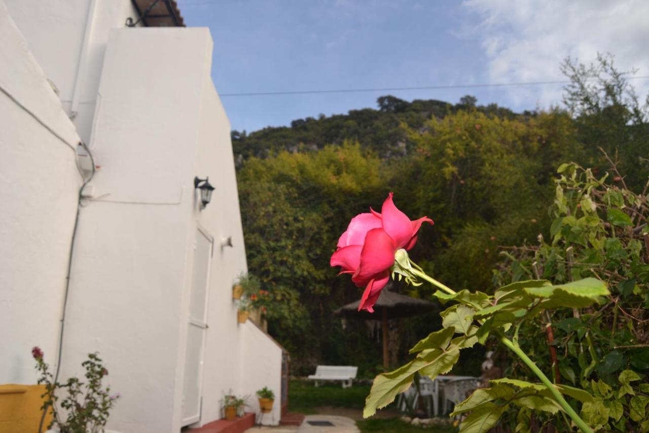 Casa La Cascada Villa El Bosque Exterior foto
